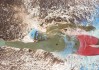 国际游泳全国青少年代谢与体能研究发布，国际青少年游泳邀请赛