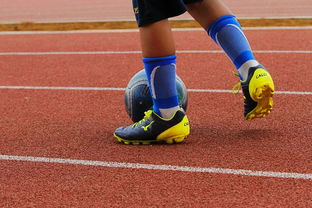 下载乐鱼体育APP-中小学体育运动兴趣培养路径研究,中小学体育运动兴趣培养路径研究论文