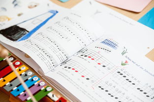 乐鱼体育登录-中小学教师发展支持,中国中小学教师发展报告