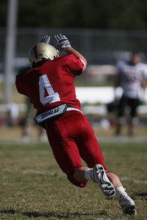 leyu乐鱼官网登录入口-中超球队重点对手研究频率分布，中超球队实力分析