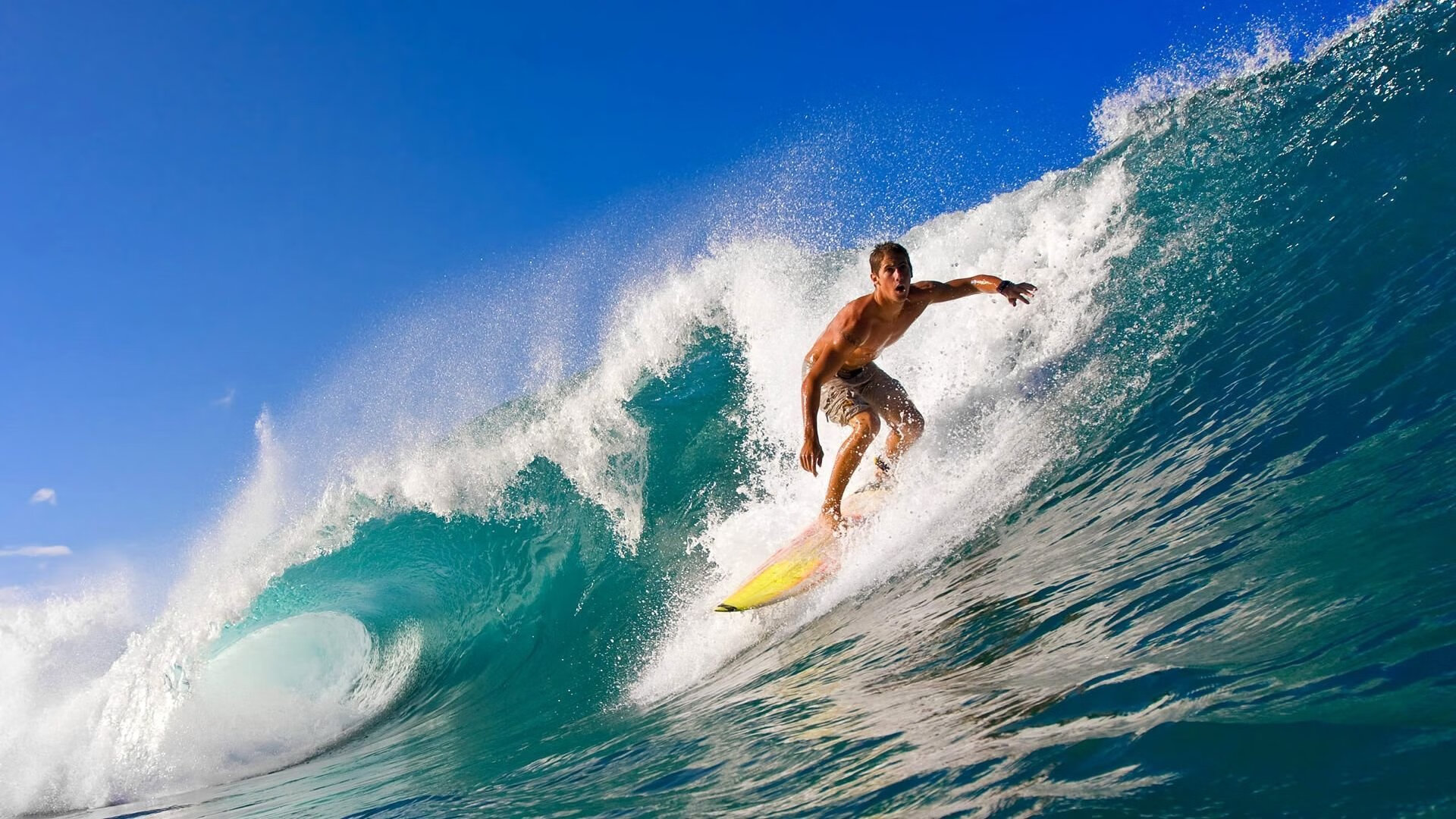 乐鱼(中国)体育官方网站-国家体育装备中心发布冬季项目训练服标准规范,冬季体育训练服是什么样的